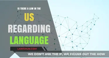 US Language Laws: Exploring Legal Frameworks for Linguistic Diversity