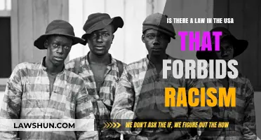 Does US Law Prohibit Racism? Exploring Legal Protections and Limitations