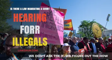Court Hearings for Undocumented Immigrants: Legal Requirements Explained
