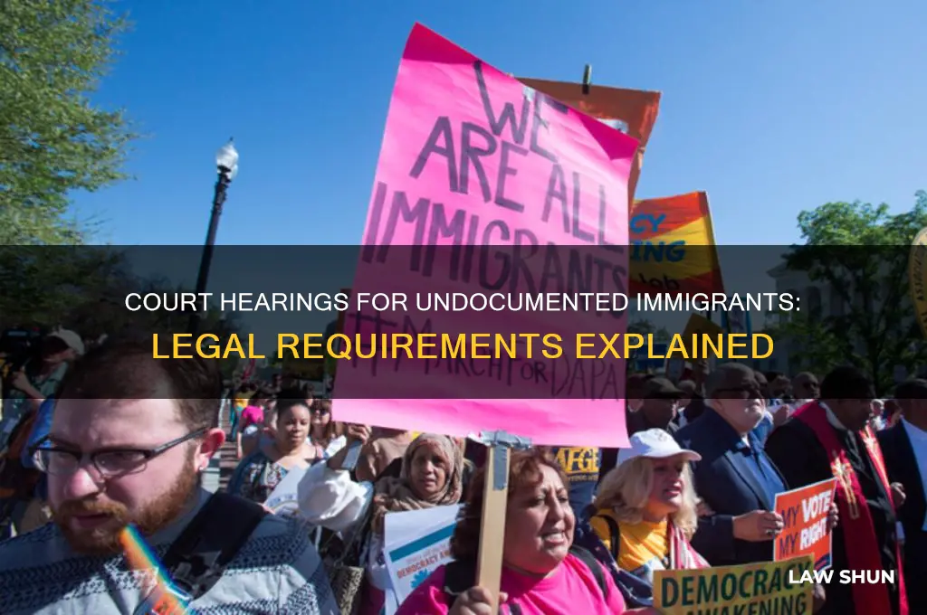 is there a law mandating a court hearing forr illegals