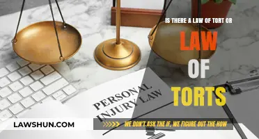 Understanding the Legal Framework: Law of Tort vs. Law of Torts