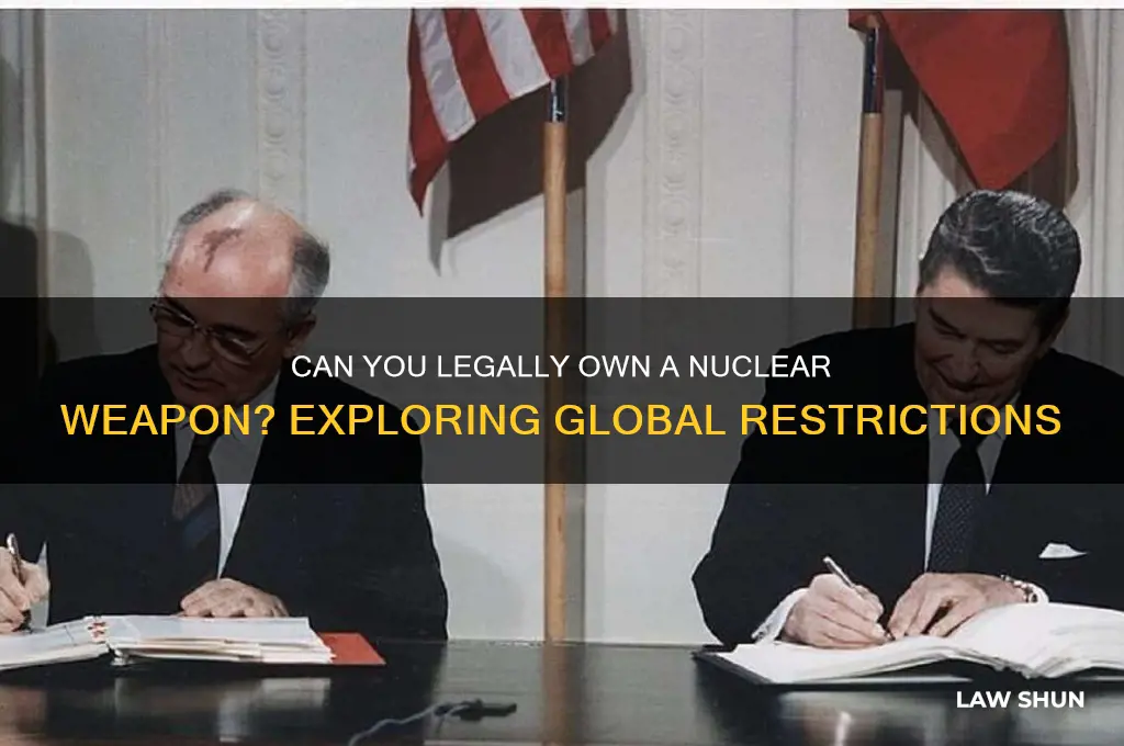 is there a law preventing me from owning a nuke