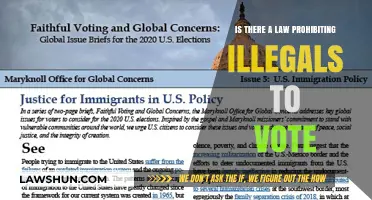 Can Undocumented Immigrants Vote? Legal Boundaries and Voting Rights Explained