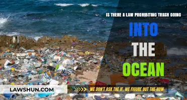 Ocean Trash Laws: Are There Legal Protections Against Marine Pollution?