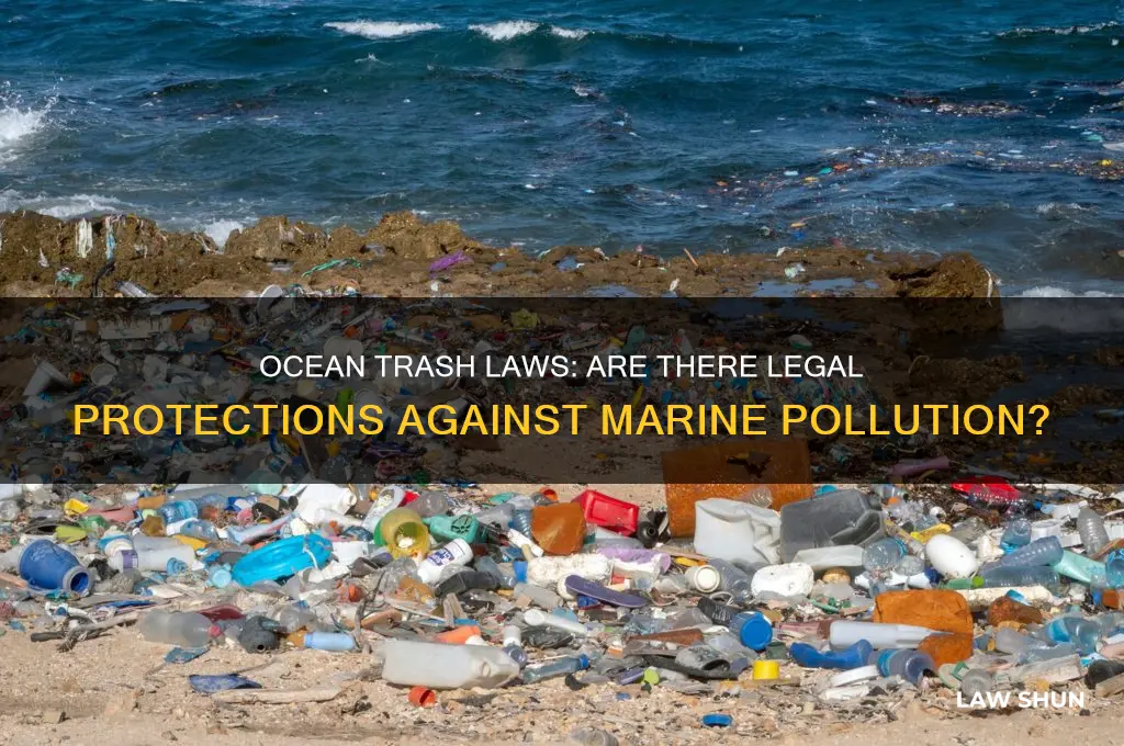 is there a law prohibiting trash going into the ocean