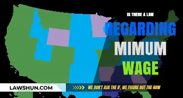 Understanding Minimum Wage Laws: Legal Requirements and Employee Rights Explained