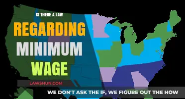 Understanding Minimum Wage Laws: Legal Requirements and Employee Rights Explained
