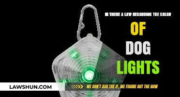 Legal Requirements for Dog Light Colors: What You Need to Know