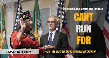 Can Native Americans Run for Office? Legal Barriers Explained