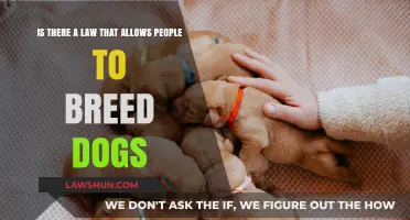 Breeding Dogs Legally: Understanding the Laws and Regulations