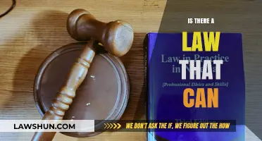 The Law: What Can and Can't Be Done