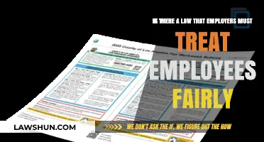 Fair Treatment at Work: Legal Obligations for Employers Explained
