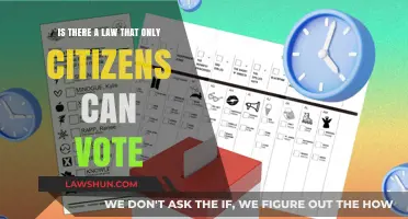 Who Can Vote? Citizenship and the Law