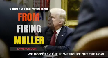 Can Trump Legally Fire Mueller? Exploring the Legal Constraints