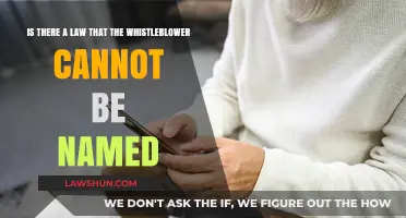 Whistleblower Anonymity: Legal Protections Against Naming in Law