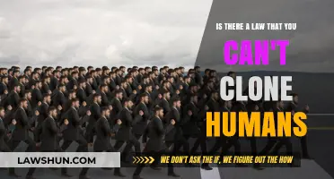 The Legal Complexities of Human Cloning