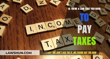Understanding the Legal Obligation of Paying Taxes