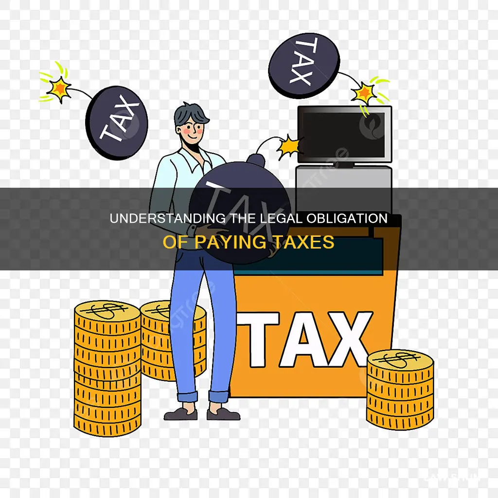 is there a law that you have to pay taxes