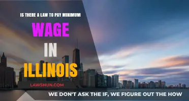 Illinois Minimum Wage Laws: Understanding Your Rights and Employer Obligations