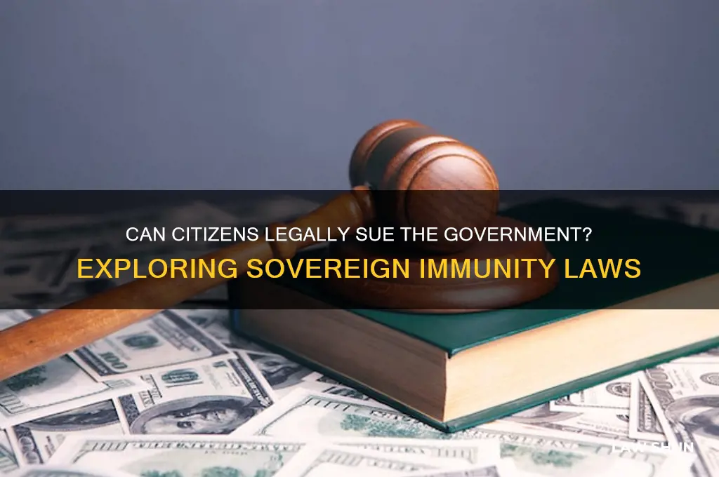 is there a law to prevent citizens from suing the