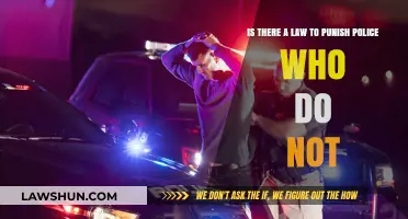 Unpunished Police Inaction: Legal Accountability for Law Enforcement Negligence