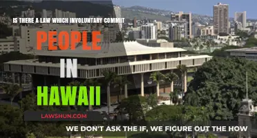 Hawaii's Involuntary Commitment Laws: Understanding Legal Boundaries and Rights