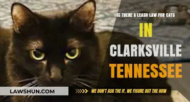 Clarksville, TN Cat Leash Laws: What Owners Need to Know