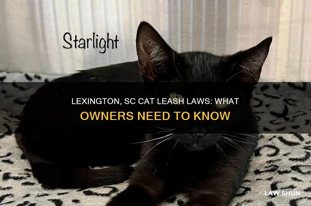 is there a leash law for cats in lex sc