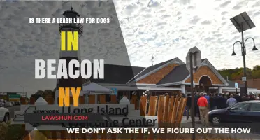 Beacon NY Dog Leash Laws: What Owners Need to Know