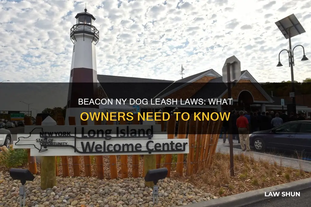 is there a leash law for dogs in beacon ny
