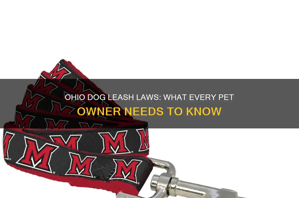 is there a leash law for dogs in ohio