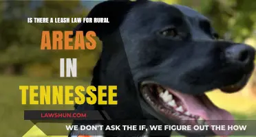 Tennessee Rural Leash Laws: What Pet Owners Need to Know