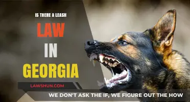 Georgia's Leash Law: Understanding Pet Owner Responsibilities and Regulations