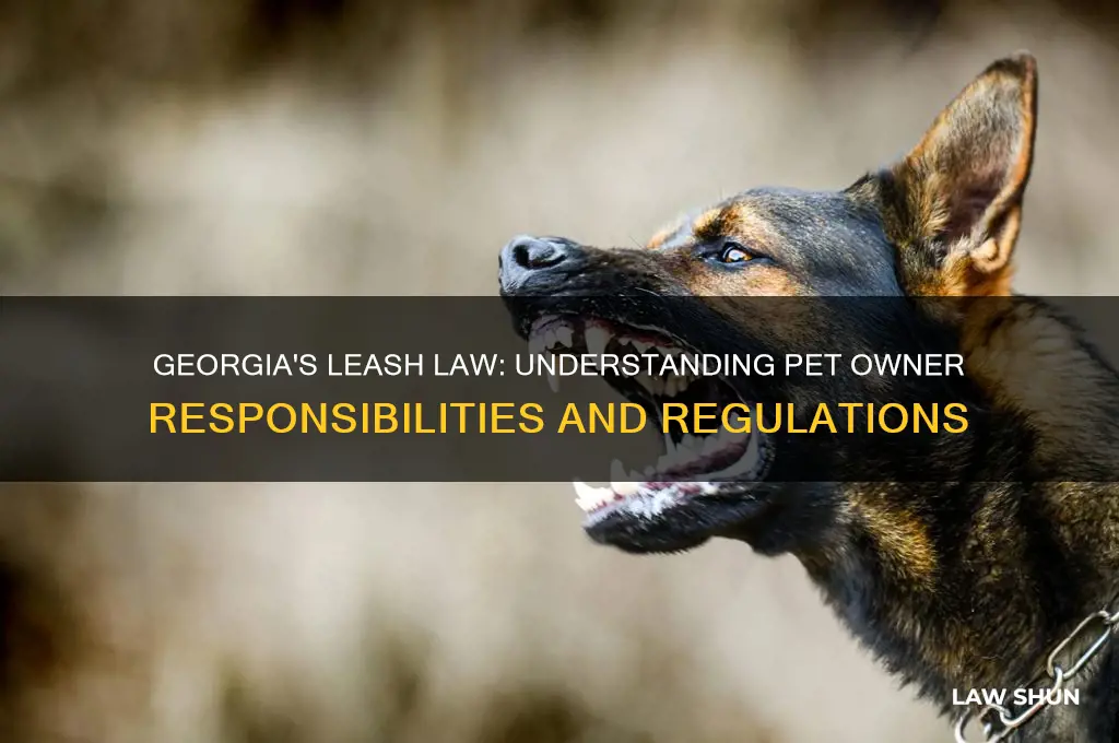 is there a leash law in georgia