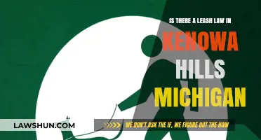 Kenowa Hills, Michigan Leash Law: What Pet Owners Need to Know