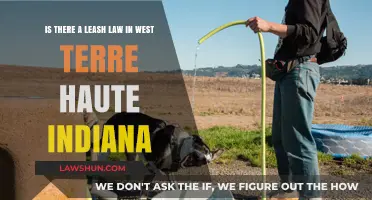 West Terre Haute, Indiana Leash Law: What Pet Owners Need to Know