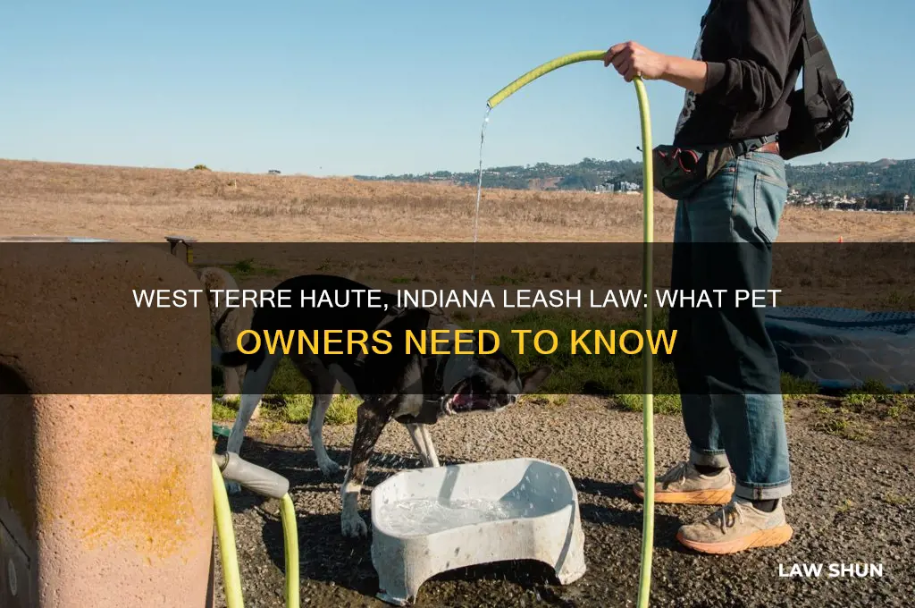is there a leash law in west terre haute indiana