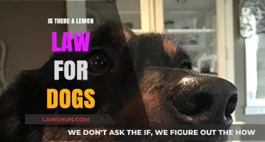 Lemon Law for Dogs: What Are Your Rights as a Pet Owner?