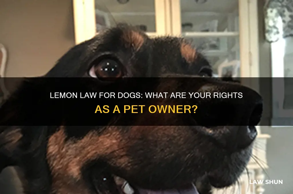 is there a lemon law for dogs