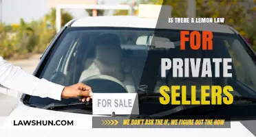 Private Car Sales and Lemon Laws: What Buyers Need to Know
