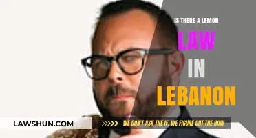 Does Lebanon Have a Lemon Law? Understanding Consumer Rights for Defective Vehicles