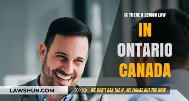 Lemon Law in Ontario: What Are Your Rights?