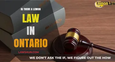 Ontario Lemon Law: What You Need to Know About Vehicle Protections
