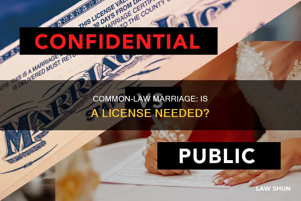 is there a license for common law marriage