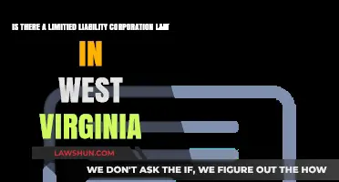 West Virginia's Limited Liability Corporation Law: What You Need to Know