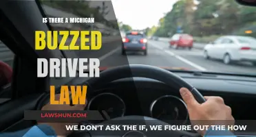Michigan's Buzzed Driving Laws: What You Need to Know