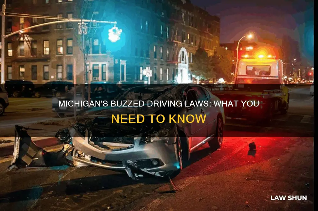 is there a michigan buzzed driver law