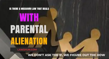 Missouri Parental Alienation Law: Understanding Legal Protections for Families