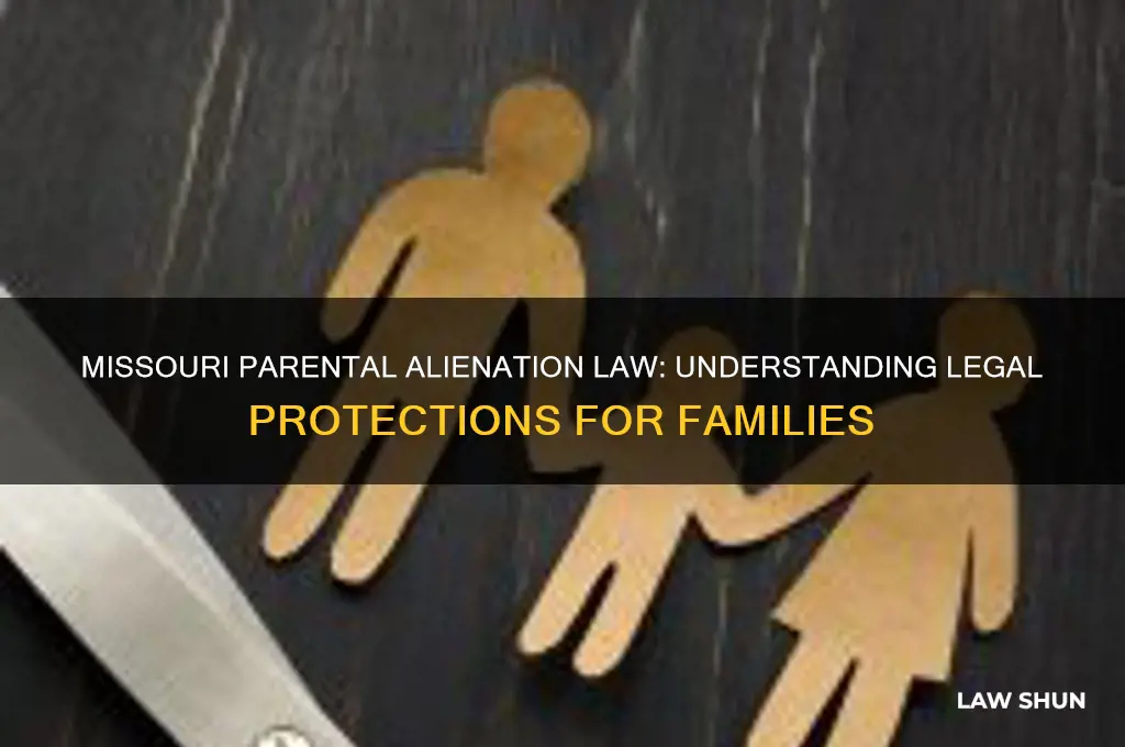 is there a missouri law that deals with parental alienation