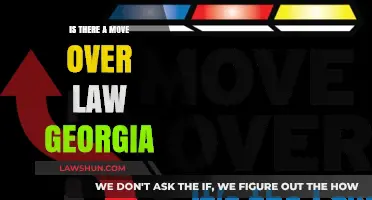 Georgia's Move Over Law: Understanding Its Importance and Enforcement
